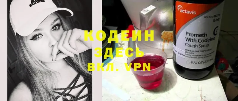 МЕГА tor  Андреаполь  Codein Purple Drank  даркнет сайт 