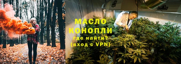 мдпв Волоколамск